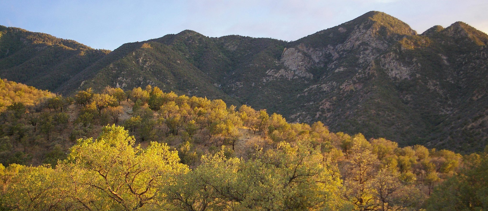 madera canyon